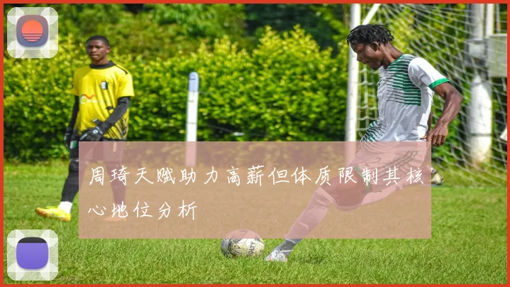 周琦天赋助力高薪但体质限制其核心地位分析