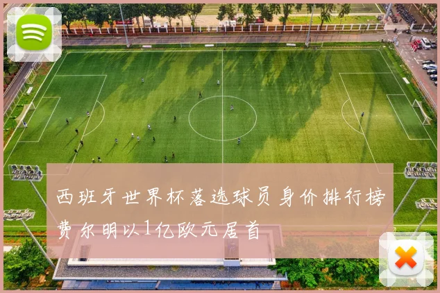 西班牙世界杯落选球员身价排行榜费尔明以1亿欧元居首